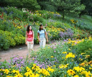 Hikes near Chicago: Chicago Botanic Gardens