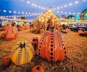 Check out Jack's Pumpkin Pop-Up this October in Chicago. Photo courtesy of Jack's Pumpkin Pop-Up.