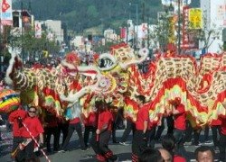 Chinese New Year Festival