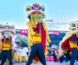 See traditional lion and dragon dances at the DC Chinese Lunar New Year Parade. Photo courtesy of dcparade.com