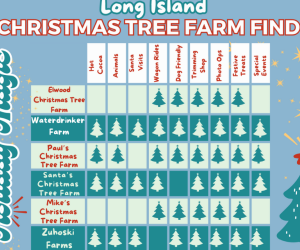 Christmas Tree Farm Guide Long Island