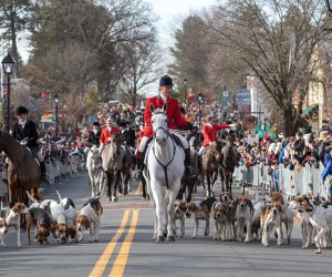 Christmas Towns and Santa's Villages: Middleburg, VA