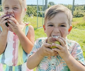 Image of children eating apples at an apple orchard near Boston