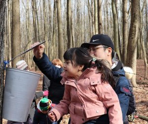 Clay Pit Ponds State Park Maple Sugaring 25 Free Activities For Midwinter Break