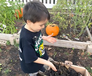 Just one kid composting can save 400 pounds of food waste a year. So yes, one kid can make a difference! Photo by Maureen Wilkey