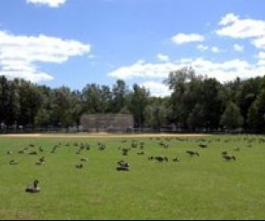 Staten Island Parks