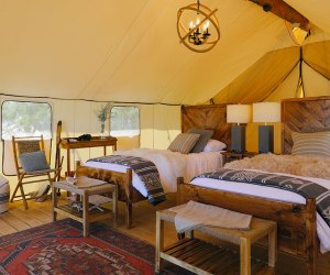 Interior of a Collective Governors Island tent