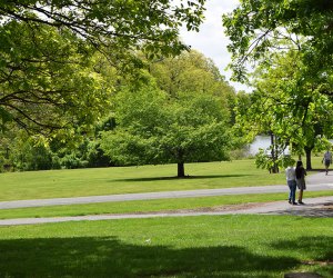 Colonial Park has tons of paved paths for bike riding.