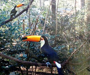 Riverbanks Zoo & Garden Columbia with Kids: 25 Best Things to Do in Columbia, SC