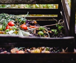 Did you know that compost actually shouldn't be smelly? Photo by Eva Bronzini