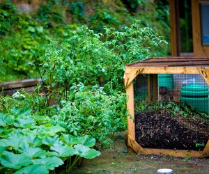 26 Tips for Living More Sustainably Every Day composting