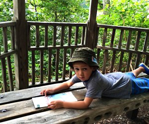 Free Things to Do on Long Island This Summer: explore the mashomack nature preserve boy with map