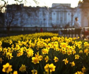 15 Great Things to Do in Fairfield County This Spring