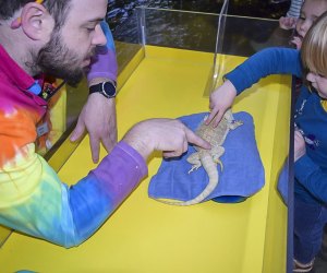 On sensory-friendly days, kids can enjoy activities with a quieter, calmer touch. Photo courtesy of the Connecticut Science Center