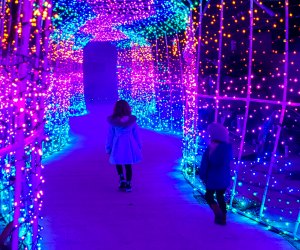 Exploring the Snow N Glow Light Trail. Photo courtesy of the author