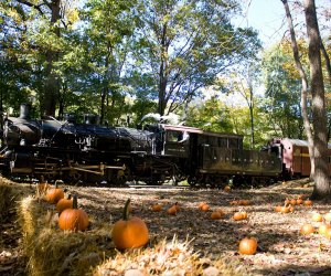 Go for a train ride en route to a corn maze with the Delaware River Railroad Excursions