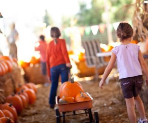 Pumpkin Fest at Cornelius Nursery