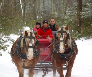 Cornerstone Ranch offers private and group sleigh rides in Princeton. Photo courtesy of Cornerstone Ranch LLC