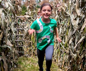 Celebrate the harvest at CORNucopia in Sleepy Hollow. Photo courtesy of the Historic Hudson Valley 