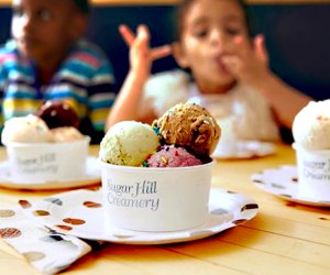 Things to do in NYC: Sugar Hill Creamery