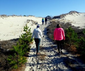 12 Great Places To Hike with Kids around Boston: The Crane Estate