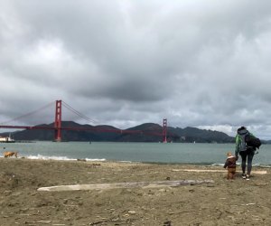 Best Beaches in San Francisco: Crissy Field East Beach 