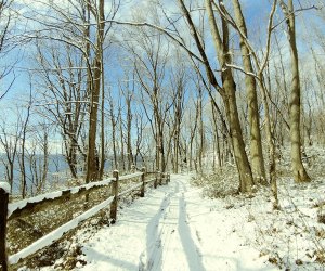 cross country skiing Garvies Point Museum & Preserve in Glen Cove.