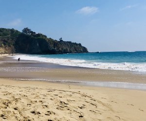 Things To Do in Newport Beach and Costa Mesa with Kids: Moro Beach at Crystal Cove State Park