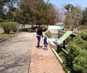 Cold Spring FIsh Hatchery. Free Museum Passes and More Perks From Your LI Library Card