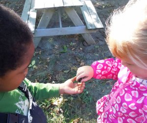 Activities To Get You Out of the House This Weekend on Long Island Enjoy some hands-on, outdoor, springtime exploration at CSTL's family-friendly programming. Photo courtesy of CSTL