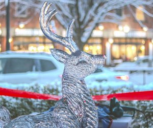 Explore the holiday sights around New Haven for Free this holiday season! Photo courtesy of The Shops at Yale