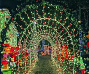 Families will wonder at the best neighborhood Christmas light displays in Connecticut this 2024 holiday season. Photo courtesy of Amarante's Winter Wonderland.