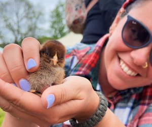 We're celebrating all the moms with fun activities for Mother's Day Weekend 2025 in Connecticut! Spring Fest at  Brown's Harvest. Photo courtesy of the event © 2025. All rights reserved. 