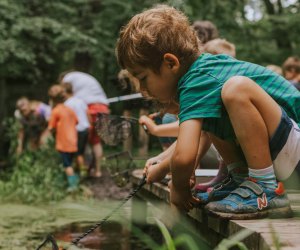 Free Museums in Connecticut To Visit with Kids Earthplace photo by Zoe Brown