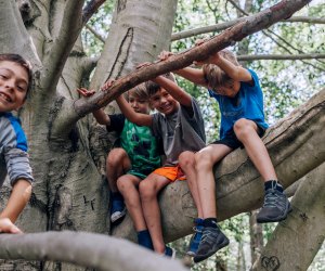 The kids can hang out and have fun with the top free things to do in Connecticut! Earthplace photo by Zoe Brown, courtesy of the center.