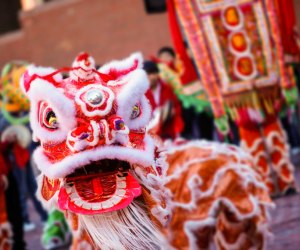 Lunar New Year comes roaring into  Connecticut, with celebrations and festivities for February 2025!