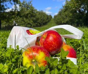 Image of bag of apples - Farm Fun at Lyman Orchards