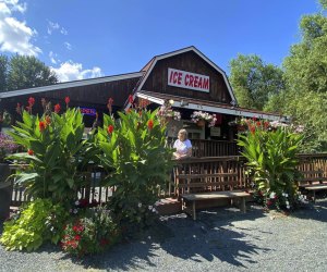 Farms with Family Entertainment in Hartford County Bloom Hill Farm