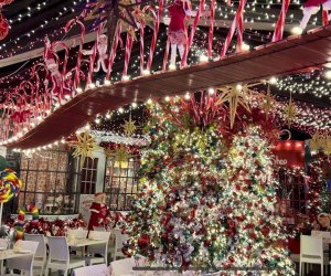 Dine among a beautiful display of holiday lights on Christmas in Southington, one of the restaurants open on Christmas in Connecticut! Photo courtesy of Cava Restaurant