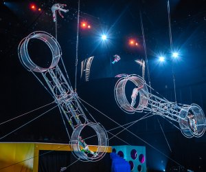The Greatest Show On Earth® Ringling Bros. and Barnum & Bailey® Tours Again . Photo courtesy of Feld Entertainment