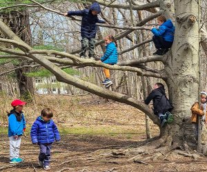 Spring Break 2025 Connecticut Nature Centers Earthplace