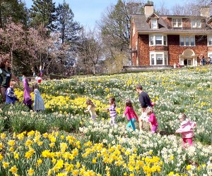 50 Things We Can T Wait To Do With Kids This Spring In Nj