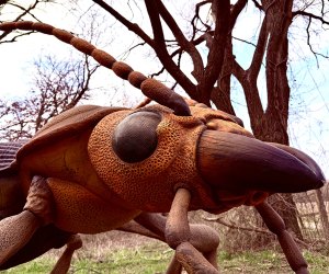 Get ready for an incredible outdoor experience with giant animatronic insects at Bugs LIVE! at the Heard, Photo courtesy of the Heard Museum 