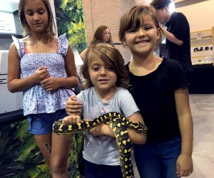 See live animals from around the world at Repticon Dallas! Photo courtesy of Repticon