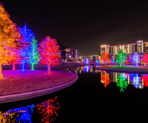 Vitruvian Park transforms into a magical wonderland during the holiday season! Photo courtesy Vitruvian Lights 