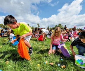 Not all Easter eggs are orange in the OC. Photo courtesy of the City of Dana Point 