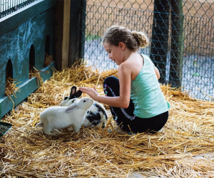 Feed the rescued bunnies at Bee City Zoo.: Bee City Zoo