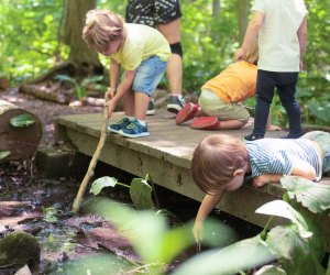 Children explore nature in Darien. Photo by Julia Arstorp Photography courtesy of Darien Nature Center