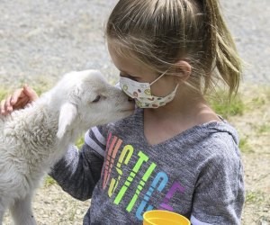 Image of child with a baby goat on a Boston day trip.