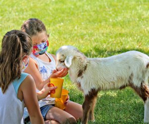 petting zoo s near me